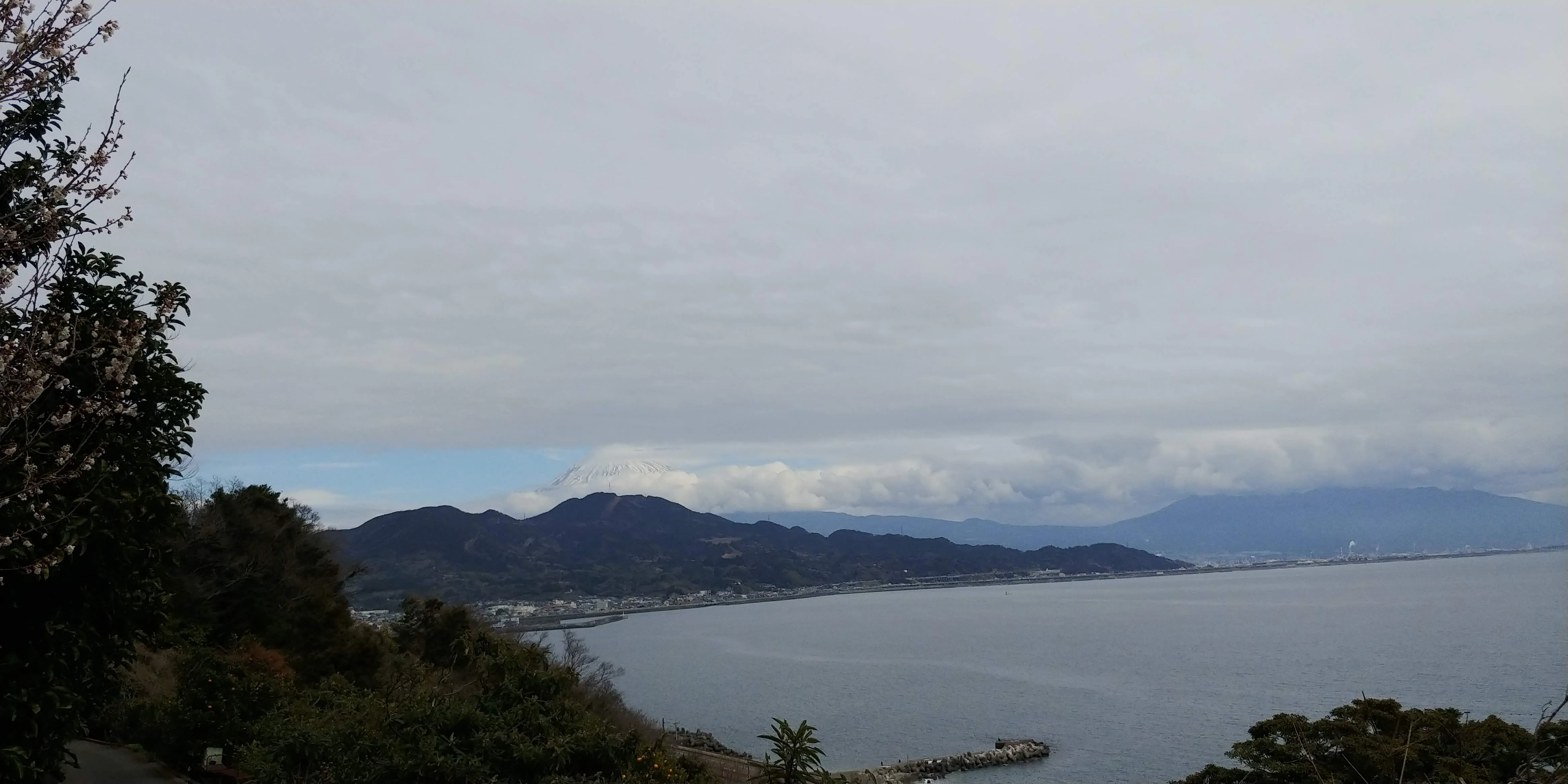 駿河湾越しの富士山