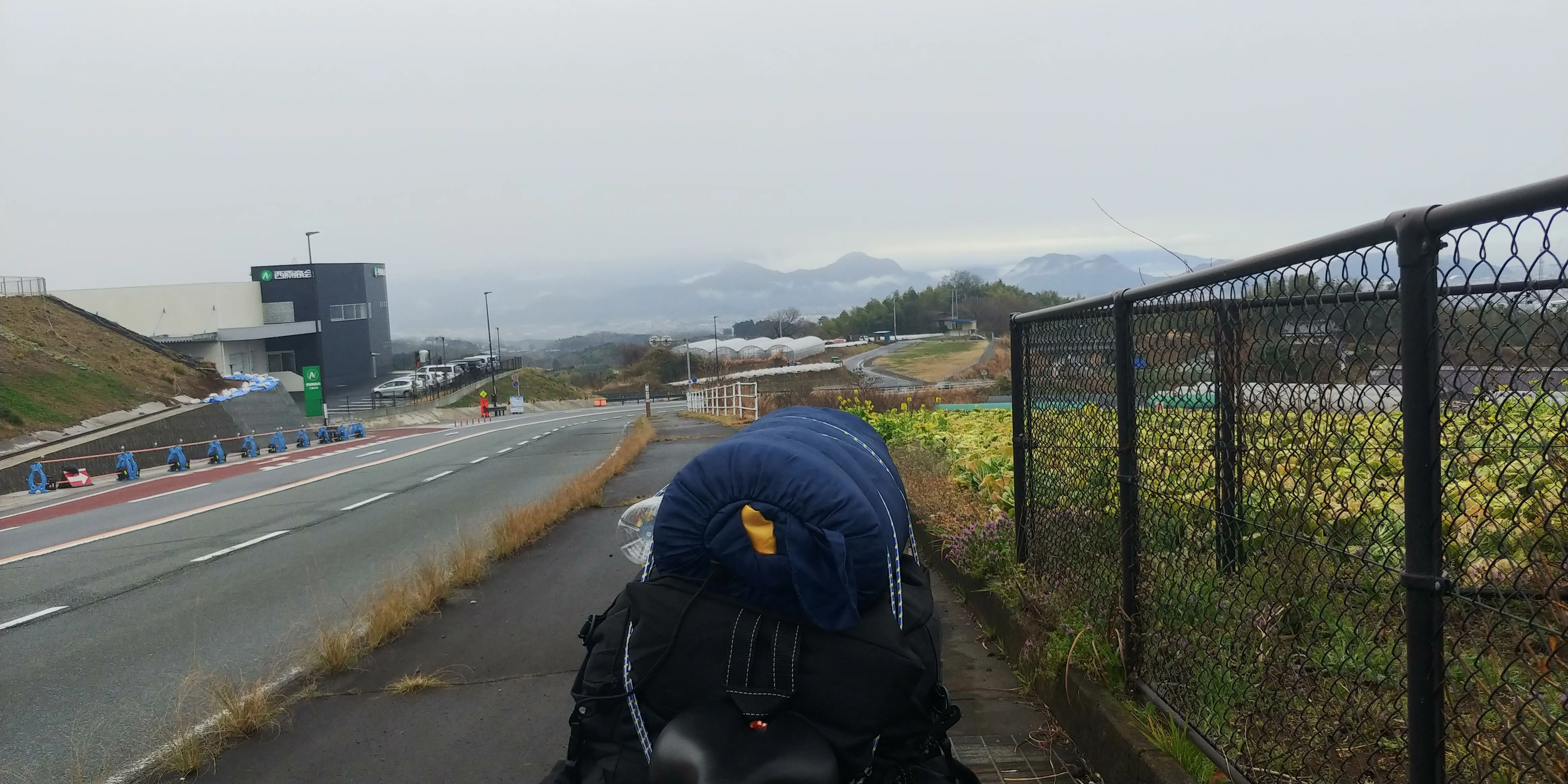 霧深い箱根の山道