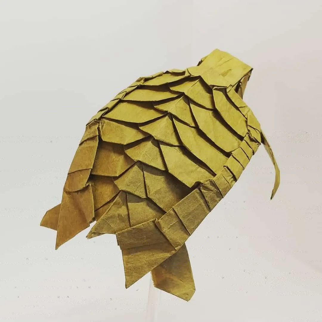 ウミガメ
